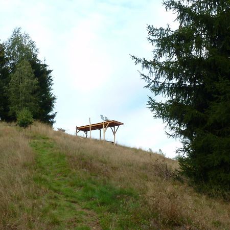 Ein Platz Fuer Ruhe Und Naturgenuss Sebnitz Exteriér fotografie