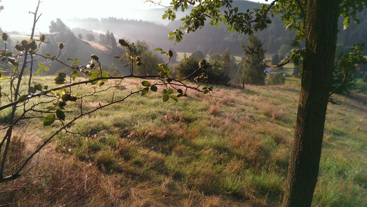Ein Platz Fuer Ruhe Und Naturgenuss Sebnitz Exteriér fotografie