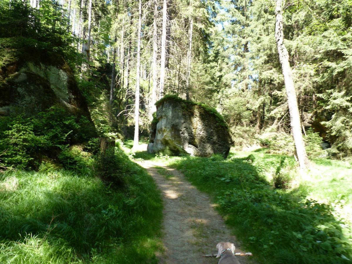 Ein Platz Fuer Ruhe Und Naturgenuss Sebnitz Exteriér fotografie