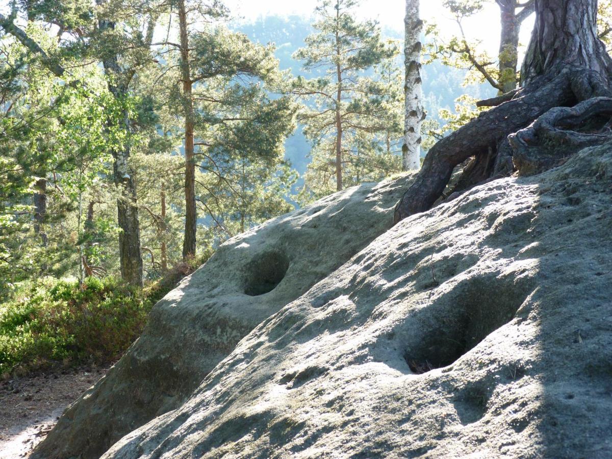 Ein Platz Fuer Ruhe Und Naturgenuss Sebnitz Exteriér fotografie