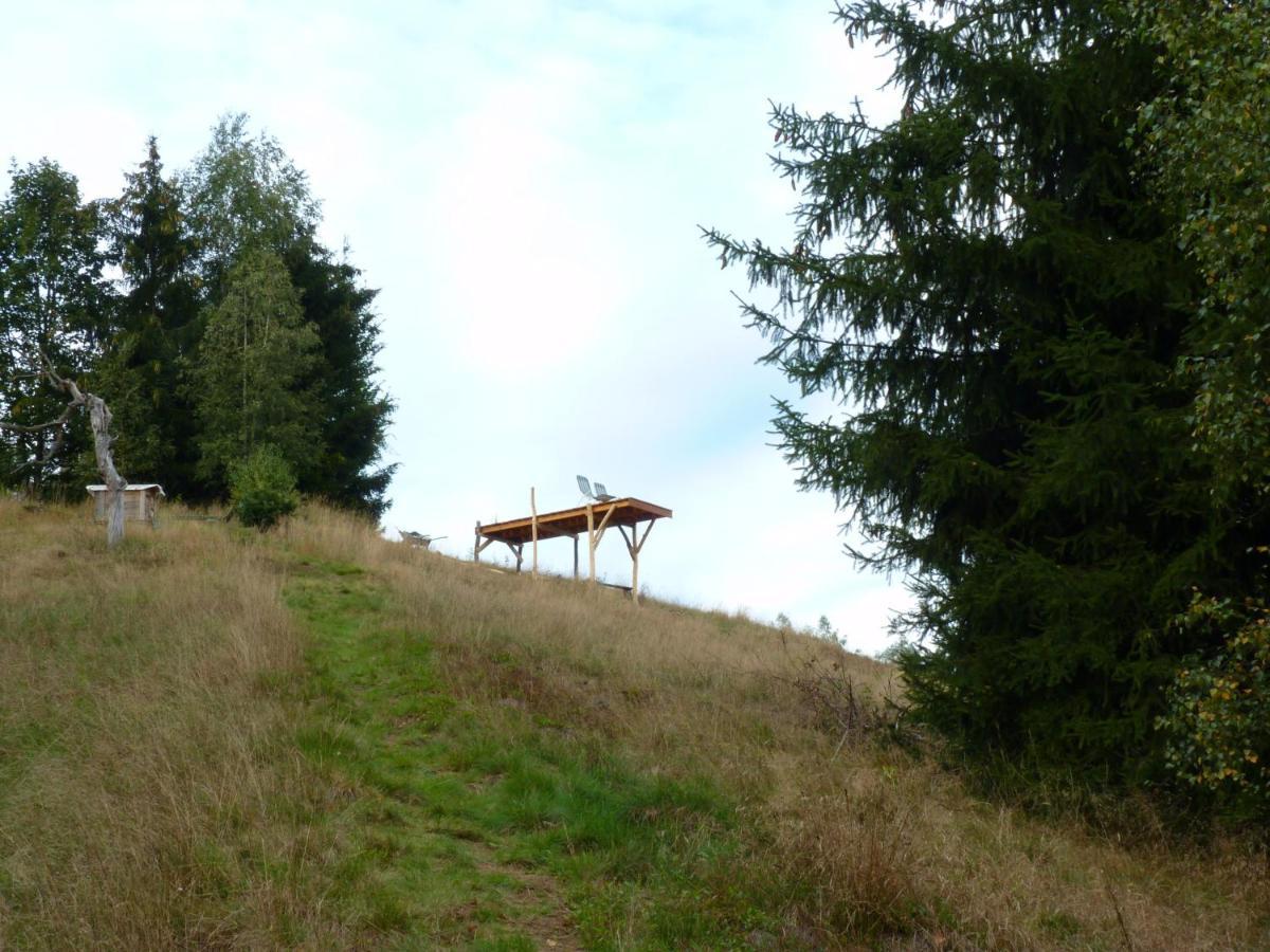 Ein Platz Fuer Ruhe Und Naturgenuss Sebnitz Exteriér fotografie
