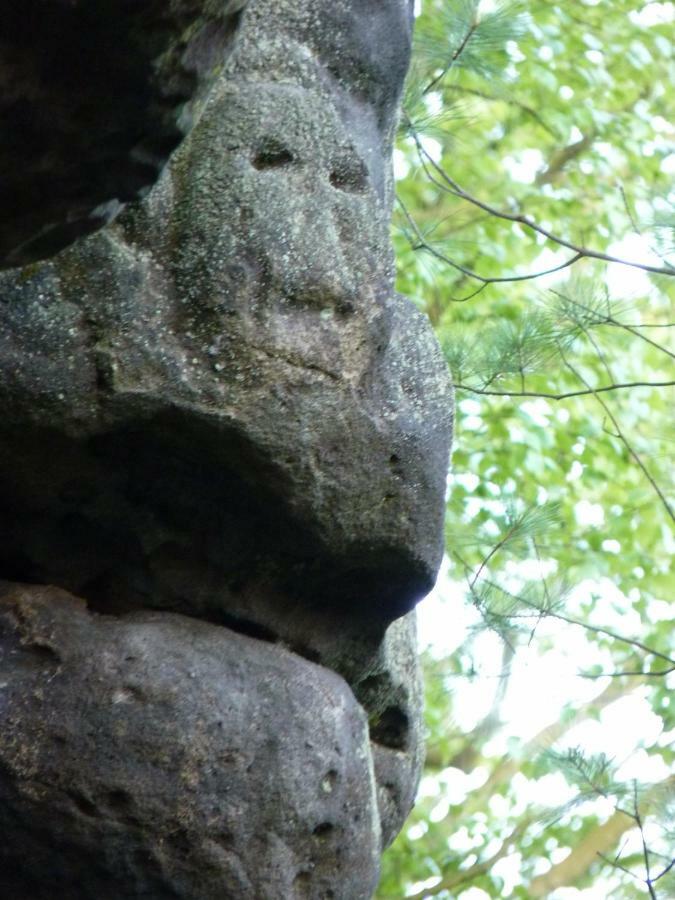 Ein Platz Fuer Ruhe Und Naturgenuss Sebnitz Exteriér fotografie