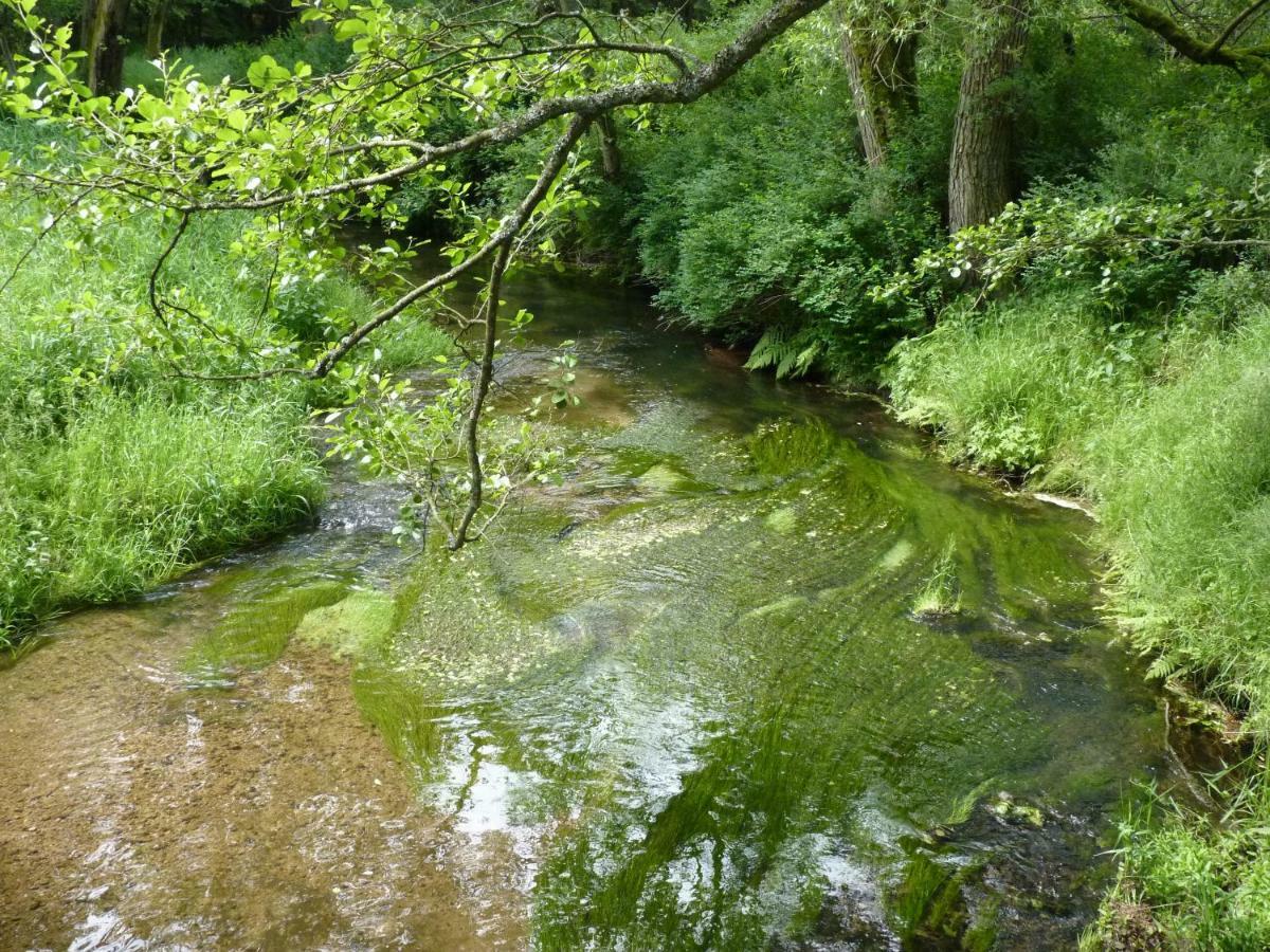 Ein Platz Fuer Ruhe Und Naturgenuss Sebnitz Exteriér fotografie