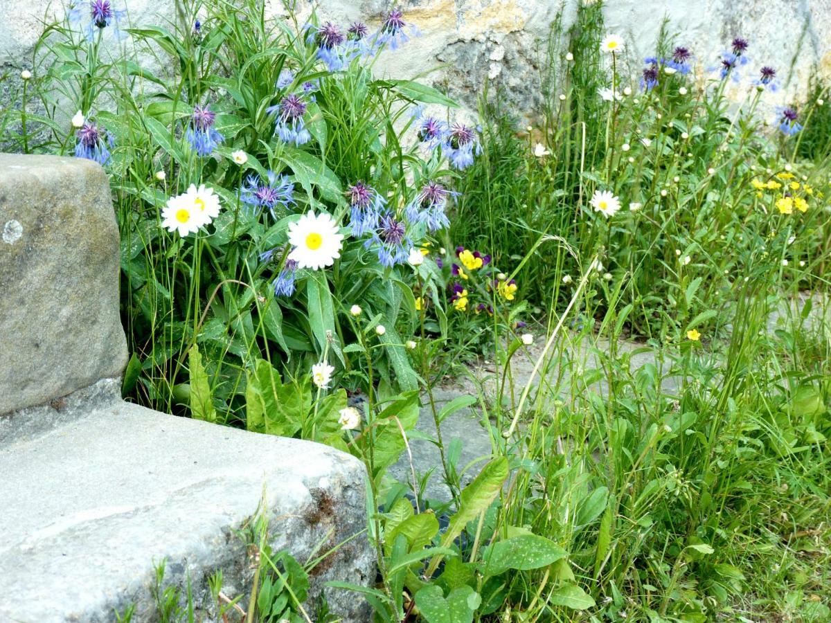 Ein Platz Fuer Ruhe Und Naturgenuss Sebnitz Exteriér fotografie